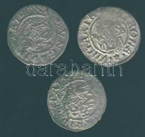 Miksa 1564-1576. Denár Ag (3x) klf évszámmal T:3,3-