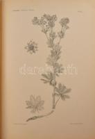 Dejtéri Borbás Vince: A Balaton tavának és partmellékének növényföldrajza és edényes növényzete. Kia...