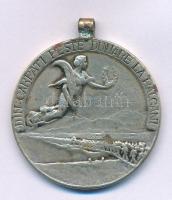 Románia 1913. "Az 1913-as szárnyalás emlékére - I. Károly, Románia királya - Béke / A Kárpátokt...