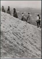 1928 Kerny István (1879-1963) budapesti fotóművész felvétele (A budaörsi hegyre fel), 1 db modern nagyítás, jelzés nélkül, 21x15 cm