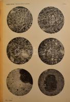 A Balaton tudományos tanulmányozásának eredményei. Geologiai, petrografiai, mineralogiai és ásványch...