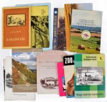 14 db vegyes helytörténeti, turisztikai kiadvány: Nagy-Szénás tanösvény. Tanösvények Budapest körül 1.; Zoo Budapest.; Varázslatos karsztvidék.; Kovács András: A siklósi vár.; stb.