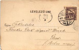 1902 Brassó, Kronstadt, Brasov; Törvényszéki palota. Brassói Lapok könyvkereskedés kiadása / court (...