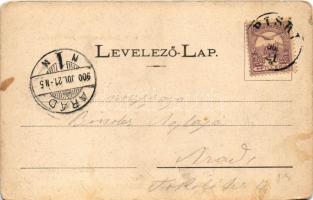 1900 Piski, Simeria; MÁV javítóműhelye vonatokkal, vasútállomás. Gyulai József kiadása. Honisch udva...