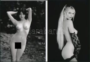 cca 1980 "Karakterek", szolidan erotikus felvételek, 2 db modern nagyítás, jelzés nélkül, 21x15 cm