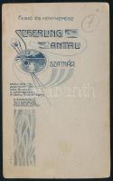 cca 1910 Kisgyermek portréja, vizitkártya Scherling Antal festő és fényképész szatmári műterméből, e...