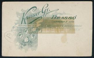 cca 1900-1910 Elegáns, divatos öltözetű hölgy portréja, vizitkártya Knauer Gyula brassói (Kronstadt,...