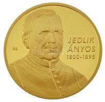 ifj. Szlávics László (1959-) 2011. "Nagy Magyarok / Jedlik Ányos" aranyozott Cu emlékérem kapszulában (40mm) T:PP