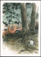 Kápé jelzéssel: Erdőrészlet madarakkal. Akvarell, karton. 35x25 cm