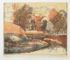 Feledy Gyula (1928-2010): Patak. Színes rézkarc, papír. Jelzett. Körbevágva. Üvegezett fakeretben. 2...