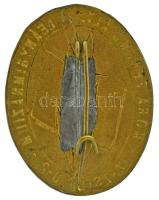 DN "Móra Ferenc Ált. Leánygimnázium IX. Zsil u. 2" zománcozott bronz iskolajelvény (35x28m...