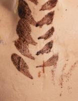 Kis Miska csalikancsó.Mázas kerámia, jelzett, hibátlan 17 cm