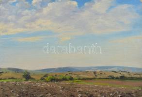 Sárdy Brutus (1892-1970): Dombos táj. Olaj, vászon, jelzés nélkül, vakráma nélkül, 34,5x49 cm