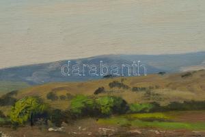 Sárdy Brutus (1892-1970): Dombos táj. Olaj, vászon, jelzés nélkül, vakráma nélkül, 34,5x49 cm