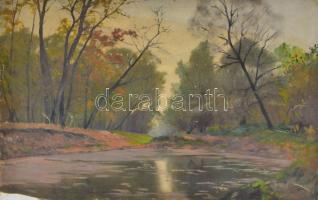 Sárdy Brutus (1892-1970): Vízparti táj. Olaj, vászon, jelzés nélkül, vakráma nélkül, papírra kasírozva, sérült, 35,5x53 cm