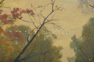 Sárdy Brutus (1892-1970): Vízparti táj. Olaj, vászon, jelzés nélkül, vakráma nélkül, papírra kasíroz...