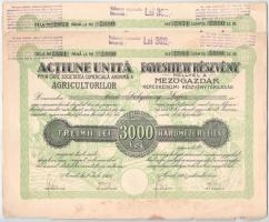Románia 1923. Arad "Mezőgazdák Kereskedelmi Részvénytársaság" 10 részvénye egyben, összesen 3000L értékben, szárazpecséttel és szelvényekkel (5x, benne 2db sorszámkövető) T:VF hajtatlan, de foltok, beszakadások, egyiken nagyobb sarokhajlás Romania 1923. Arad "Societatea Comercială Anonimă a Agricultorilor" 10 shares in one, total value 3000 Lei, with embossed stamp and coupons (5x, within 2pcs consecutive serials) C:VF unfolded, but spotted, tears, one has a larger corner bend