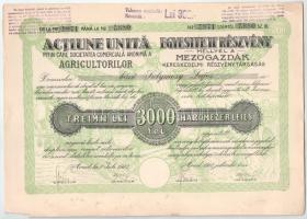 Románia 1923. Arad "Mezőgazdák Kereskedelmi Részvénytársaság" 10 részvénye egyben, összese...