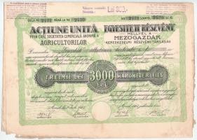 Románia 1923. Arad "Mezőgazdák Kereskedelmi Részvénytársaság" 10 részvénye egyben, összese...