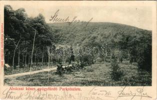1906 Alváca, Vata de Jos (Hunyad); Kénes gyógyfürdő, park. Deutsch fényképész felvétele után / spa park (r)