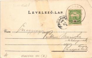 1906 Alváca, Vata de Jos (Hunyad); Kénes gyógyfürdő, park. Deutsch fényképész felvétele után / spa p...