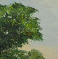 Sárdy Brutus (1892-1970): Napos táj. Olaj, vászon, jelzés nélkül, vakráma nélkül, 42x57 cm