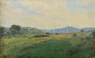 Sárdy Brutus (1892-1970): Hegyvidéki táj. Olaj, vászon, jelzés nélkül, vakráma nélkül, 42x59,5 cm