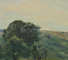 Sárdy Brutus (1892-1970): Hegyvidéki táj. Olaj, vászon, jelzés nélkül, vakráma nélkül, 42x59,5 cm