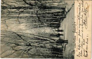 1902 Alváca, Vata de Jos (Hunyad); Természetes kénes hőfürdő park részlete / spa park (Rb)