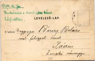 1902 Alváca, Vata de Jos (Hunyad); Természetes kénes hőfürdő park részlete / spa park (Rb)