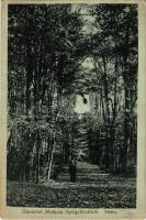 Alváca, Vata de Jos (Hunyad); Gyógyfürdő, sétány / spa park, promenade (EK)