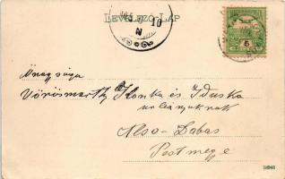 1905 Déva, vár. Hirsch Adolf kiadása / castle (EK)