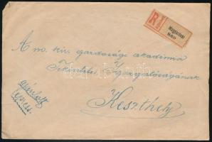 1920 Ajánlott expressz levél 15 db bélyeggel / Registered express cover "MAGYARÓVÁR" - Kes...