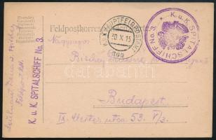 1915 Tábori posta levelezőlap Budapestre küldve, A képeslapot még azelőtt használták, hogy ezt a kórházhajót tetűirtó úszóállomássá alakították volna / Field postcard "K.u.K. HAUPTFELDPOSTAMT / 300" , "K.u.K. SPITALSCHIFF No. 3." Postcard used before this hospital ship was turned into a delousing floating station