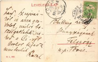 1909 Szamosújvár, Gherla; Népkerti részlet. W.L. 1869. / park, pond (gyűrődés / crease)