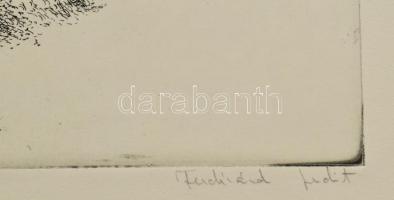 Ferdinánd Judit (1942-2015): Déri Miksa mérnök, feltaláló portréja. Rézkarc, papír, jelzett, 39,5x29...