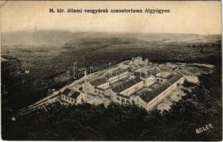 1911 Algyógy, Geoagiul de jos, Geoagiu; M. kir. állami vasgyárak szanatóriuma. Adler fényirda (Szászváros) / sanatorium of the iron factory (EK)
