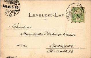 1906 Anina, Stájerlakanina, Steierdorf; vasgyár. Hollschütz F. kiadása / ironworks, iron factory (fl...