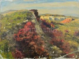 Sárdy Brutus (1892-1970): Dombos táj, 1963. Olaj, vászon, jelezve balra lent, vakráma nélkül, sérült (festéklepergésekkel). 43x55 cm.