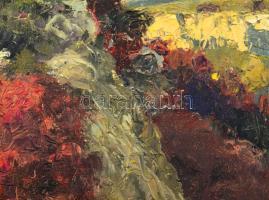 Sárdy Brutus (1892-1970): Dombos táj, 1963. Olaj, vászon, jelezve balra lent, vakráma nélkül, sérült...