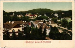 Borszék, Borsec; látkép / general view (non PC) (fl)