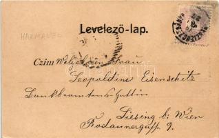 1899 Hermánd, Hermanecz, Harmanec; Papírgyár. Ivánszky Elek kiadása (Besztercebánya) / paper mill, p...