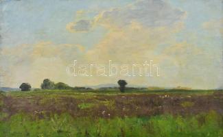 Sárdy Brutus (1892-1970): Felhős táj, 1963. Olaj, vászon, jelezve balra lent, vakráma nélkül. 42x56 cm.