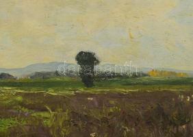 Sárdy Brutus (1892-1970): Felhős táj, 1963. Olaj, vászon, jelezve balra lent, vakráma nélkül. 42x56 ...