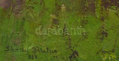 Sárdy Brutus (1892-1970): Felhős táj, 1963. Olaj, vászon, jelezve balra lent, vakráma nélkül. 42x56 ...