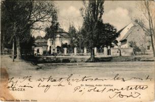 Buzinka, Sacza, Saca (Kassa, Kosice); Dr. Semsey Andor kastélya. Nyulászi Béla kiadása / castle (Rb)