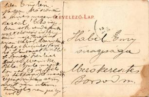 Buzinka, Sacza, Saca (Kassa, Kosice); Dr. Semsey Andor kastélya. Nyulászi Béla kiadása / castle (Rb)