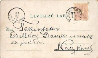 1899 Rimaszombat, Erzsébet tér, Vármegyeház, Takarékpénztár, Főgimnázium, Törvényszék, Lévai Izsó üz...