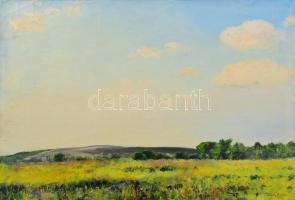 Sárdy Brutus (1892-1970): Napos táj, 1968. Olaj, vászon, jelezve jobbra lent, vakráma nélkül. 42x57 cm.
