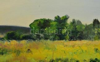 Sárdy Brutus (1892-1970): Napos táj, 1968. Olaj, vászon, jelezve jobbra lent, vakráma nélkül. 42x57 ...